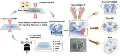 中国科学院团队打造3D手型微纳机器人(图1)