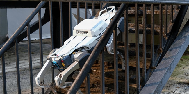 巡检机器狗怎么选？4大关键指标教你避坑(图2)