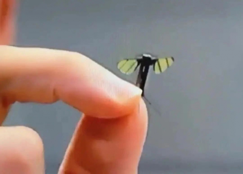 中国“蚊子”机器人横空出世，悄无声息潜入侦察(图1)