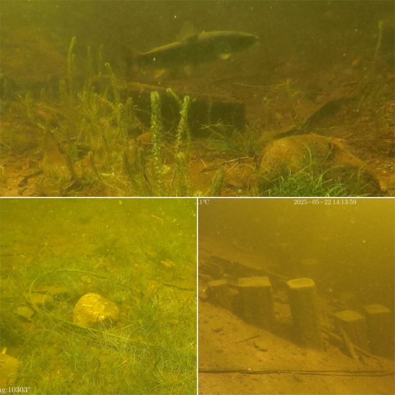 水下机器人首探尼斯湖,科技为百年"水怪传说"提供新解(图1) 水下机器人首探尼斯湖,科技为百年"水怪传说"提供新解(图1)