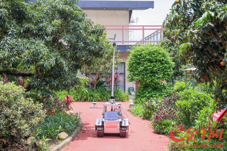 荔枝采摘机器人的背后:科技重塑荔枝产业的经济逻辑 荔枝采摘机器人的背后:科技重塑荔枝产业的经济逻辑(图3)