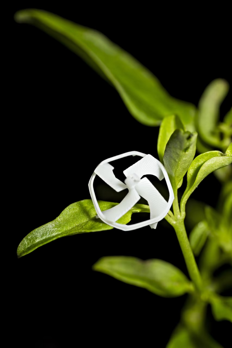 加大伯克利团队开发世界最小可控制飞行无线机器人，翼展不足 1 厘米(图2)