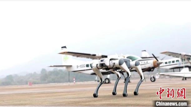 浙江首次在民航领域试点应用四足机器人(图1)