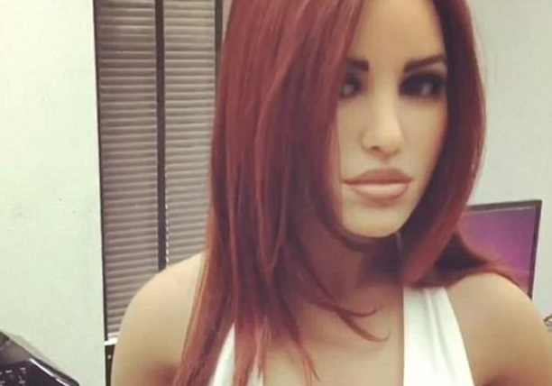 等不及了!能做家务解孤独的人形伴侣机器人,我为你探秘 等不及了!能做家务解孤独的人形伴侣机器人,我为你探秘(图8)