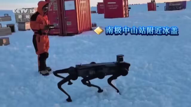 我国自主研发的六足机器狗在南极打卡上班:运输、开路双管齐下(图1) 我国自主研发的六足机器狗在南极打卡上班:运输、开路双管齐下(图1)