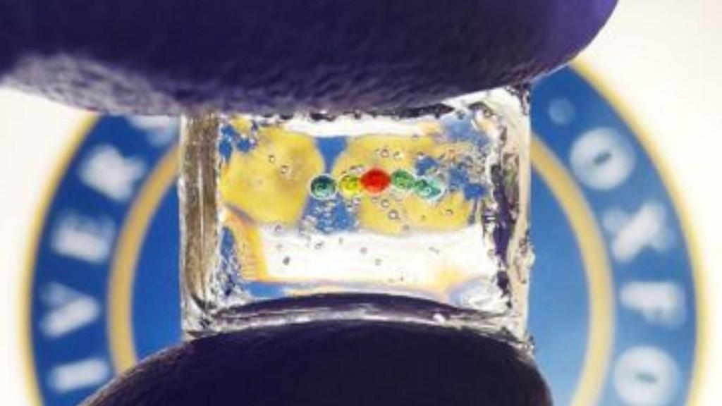 仿古生物机器人助解生命演化史谜团，验证先祖从游泳到行走转变的多种假说|总编辑圈点(图1)