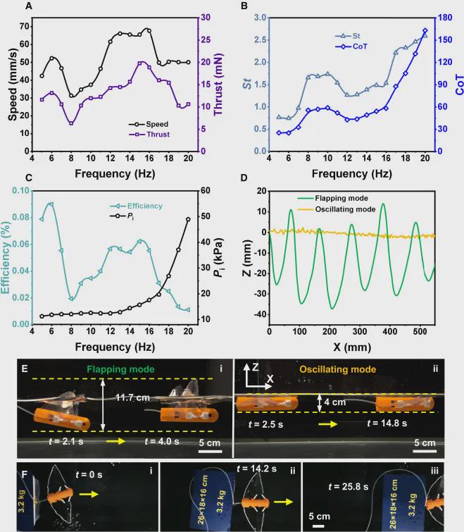 打破复杂水域探测困境！浙大仿生机器鱼登CELL子刊，双游动模式展现卓越环境适应性，负重54倍稳定前行(图8)