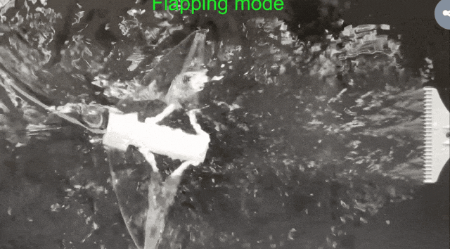 打破复杂水域探测困境！浙大仿生机器鱼登CELL子刊，双游动模式展现卓越环境适应性，负重54倍稳定前行(图9)