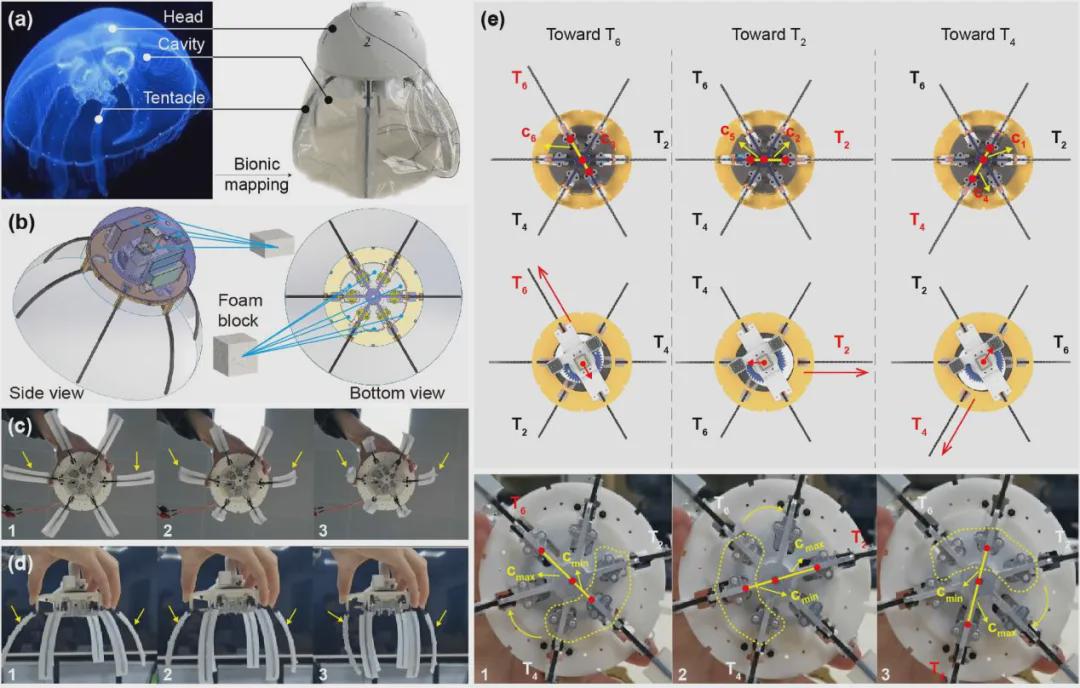 IJRR发表！仿生机器人新突破，中国团队研发出一款轻量化“仿生水母机器人”，仅重287克(图6)