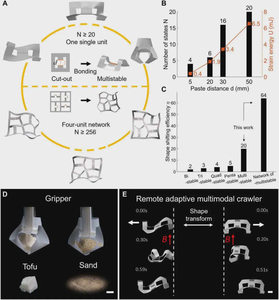 《Sci.Adv.》收录，北卡州立大学提出多稳态元结构实现突破：单一薄膜单元呈现二十种稳态，机器人变形效率倍增(图3)