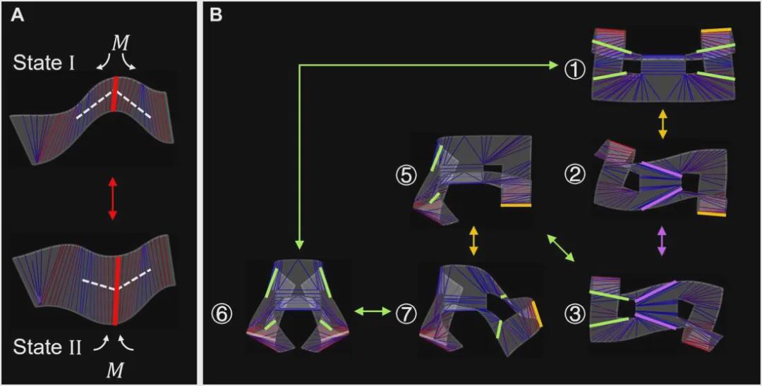 《Sci.Adv.》收录，北卡州立大学提出多稳态元结构实现突破：单一薄膜单元呈现二十种稳态，机器人变形效率倍增(图5)