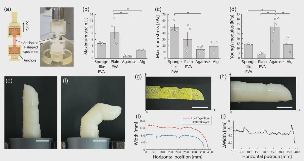 东大造出"活体皮肤"机器人手指！内置循环系统，7天不会干，还能自我修复(图5)