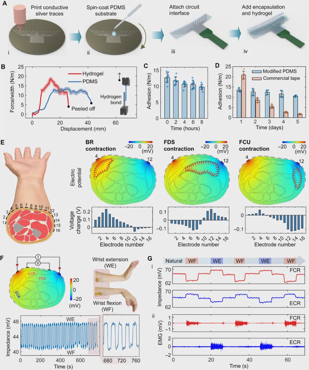 Science Advances发表！南洋理工大学推出头发丝薄度传感器FMEIS，让机器秒懂肌肉「微表情」(图4)