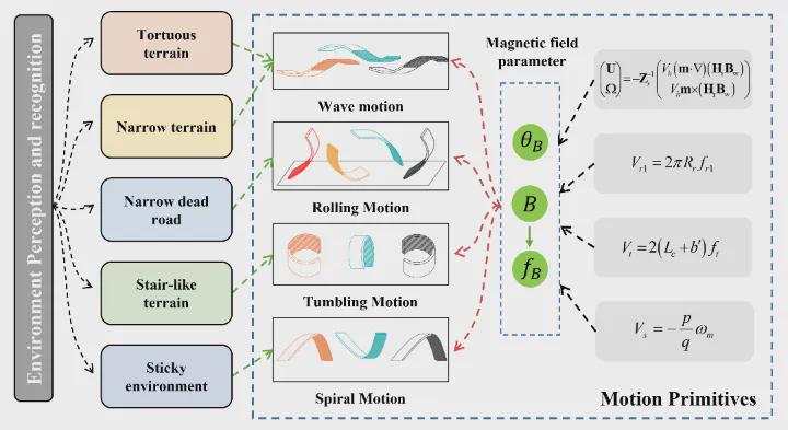 受海洋蛞蝓启发的微型“变形金刚”？北理工团队TRO发表双稳态软体微机器人，实现复杂狭缝地形自由穿梭！(图10)