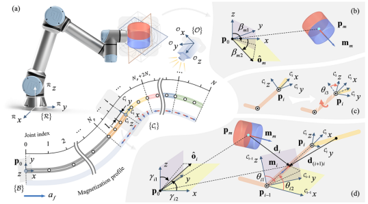  IEEE TRO发表！揭秘模块化轴向充磁连续体机器人的设计与控制策略！(图4)