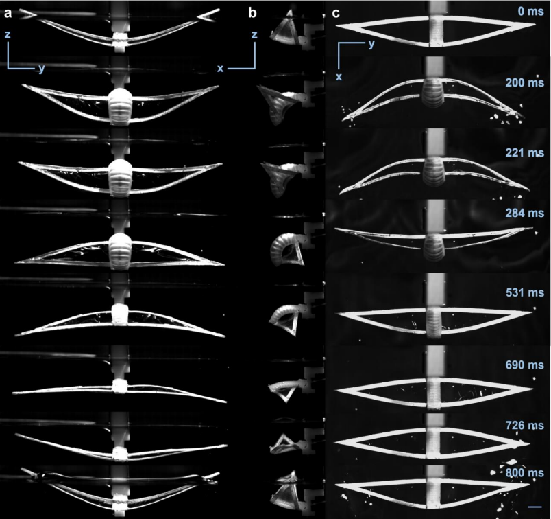 Science Advances发表！北卡罗来纳州立大学×弗吉尼亚大学推出单稳态扑翼软体游泳机器人，实现高速多模态水面水下机动！(图8)