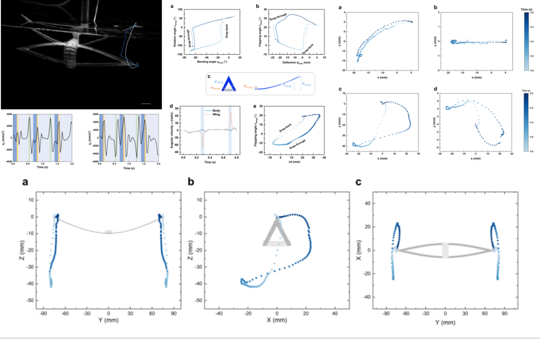 Science Advances发表！北卡罗来纳州立大学×弗吉尼亚大学推出单稳态扑翼软体游泳机器人，实现高速多模态水面水下机动！(图9)