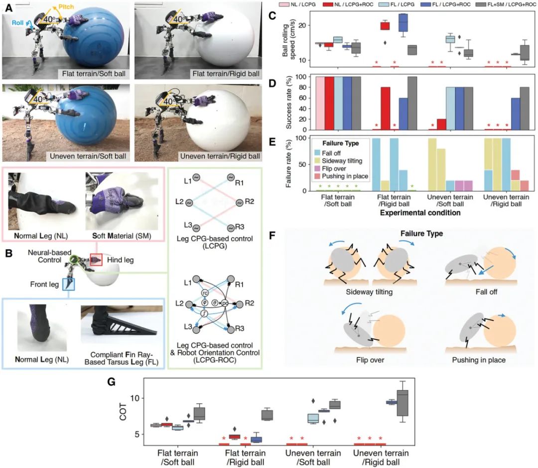  受屎壳郎滚粪球启发？多校联合提出模块化神经控制方法，大幅提升足式机器人多任务操控能力！(图4)