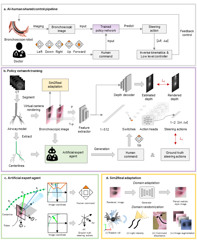 浙江大学控制科学与工程学院陆豪健、王越团队在《Nature Communications》上发表人工智能辅助驾驶气管镜机器人研究成果(图3)