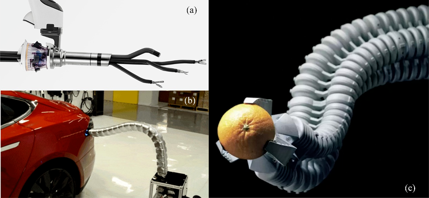受啄木鸟启发！新型延伸机构助力连续体机器人解决伸展和弯曲限制(图2)