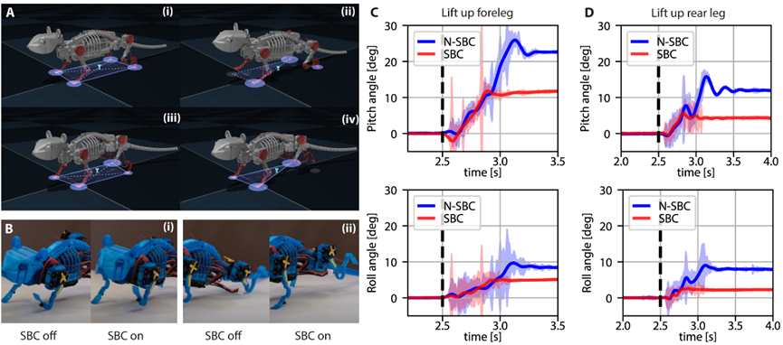Science Robotics最新研究：柔性脊柱全面提升老鼠机器人的运动能力！(图8)