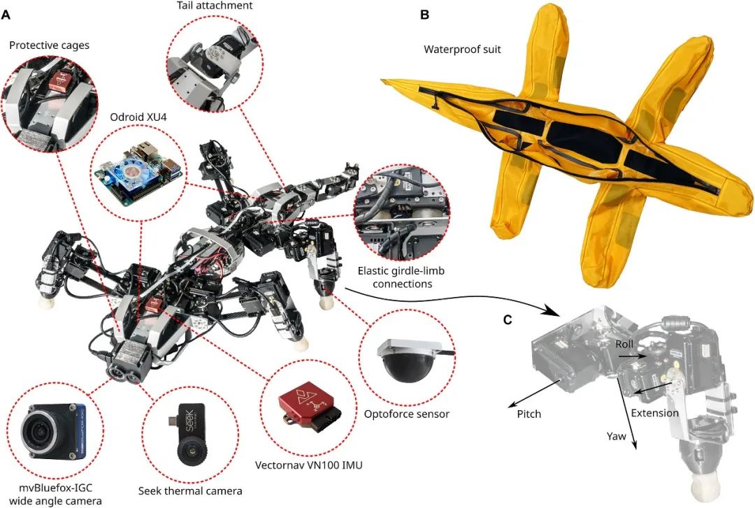 ​荣获SNSF支持 鳄鱼仿生机器人Krock二代有了最新研究进展(图4)