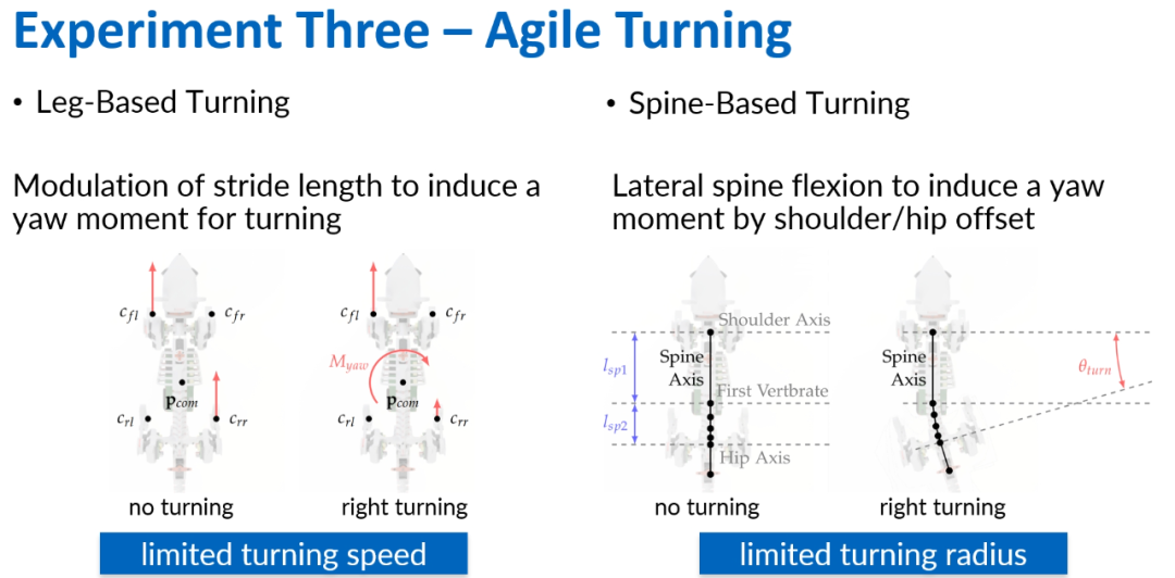 Science Robotics最新研究：柔性脊柱全面提升老鼠机器人的运动能力！(图13)