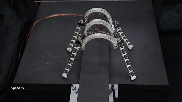 中国学者研发微型变形机器人登Nature子刊，能跑、能爬、又能游！(图6)