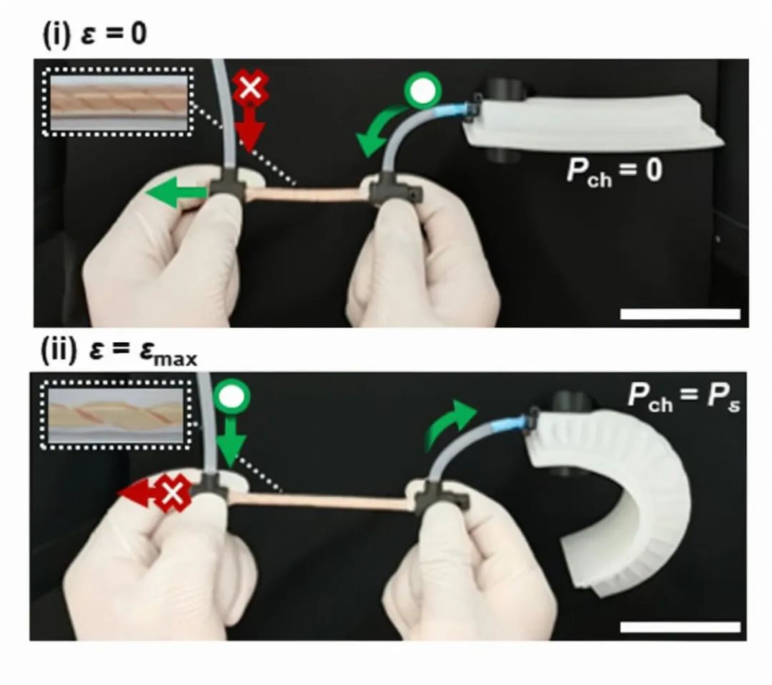 突破性软阀门技术，可实现柔性机器人的传感器和控制集成(图2)
