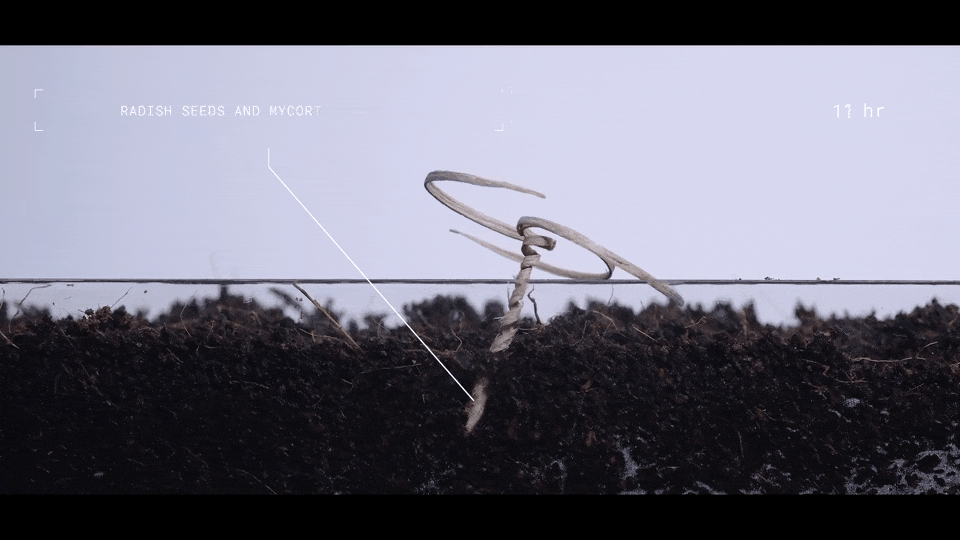 四校合作！Nature封面：会钻地的木材机器人，空投人造种子，助力智慧播种！(图7)