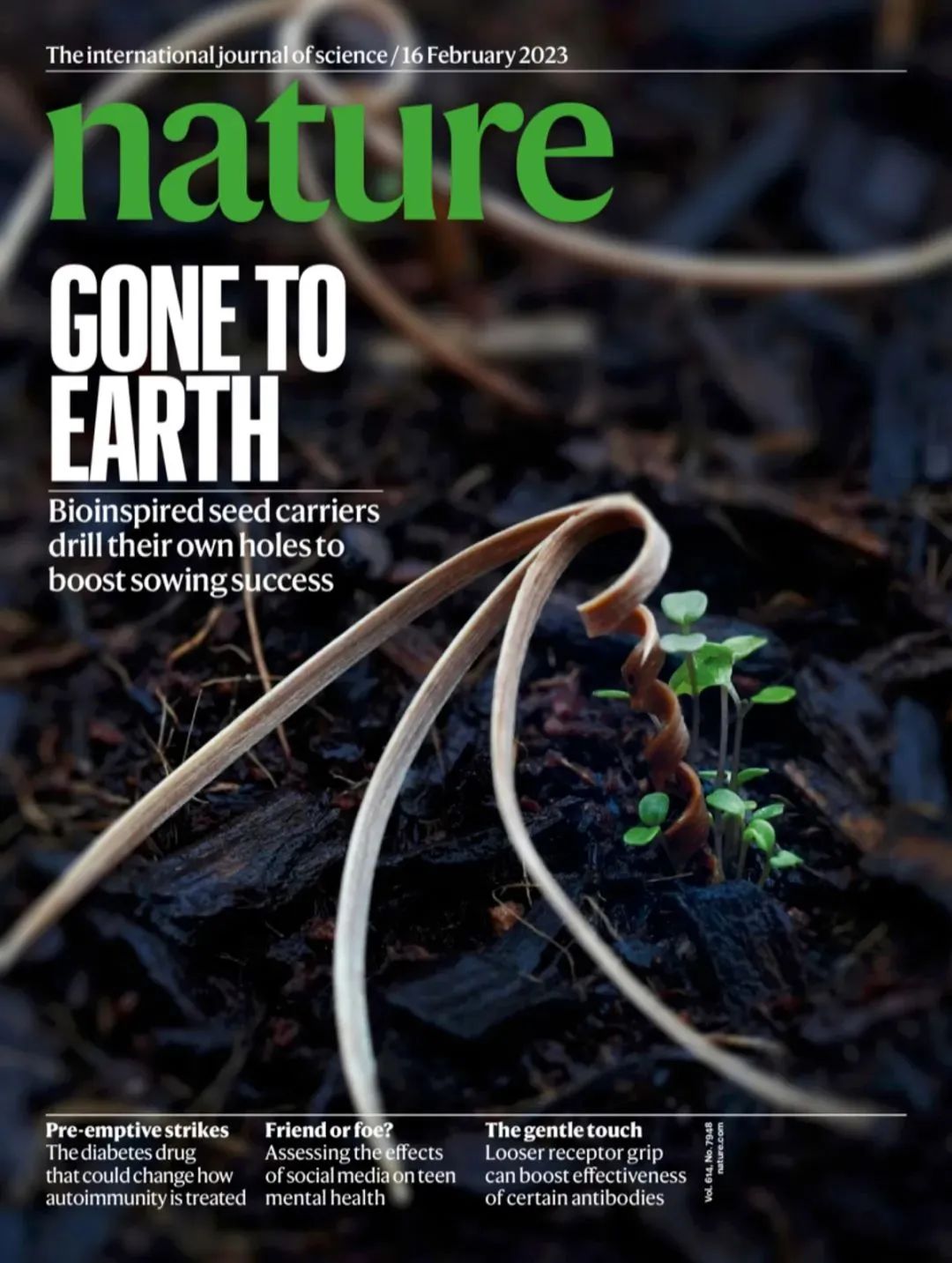 四校合作！Nature封面：会钻地的木材机器人，空投人造种子，助力智慧播种！(图2)