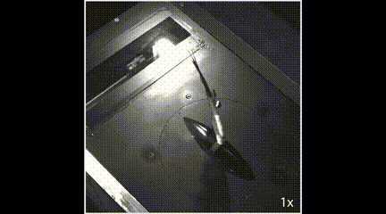 重大发现！仿生扑翼机破解飞行之谜：翅膀折叠和倾斜动作大大提升空气动力学效率！(图9)